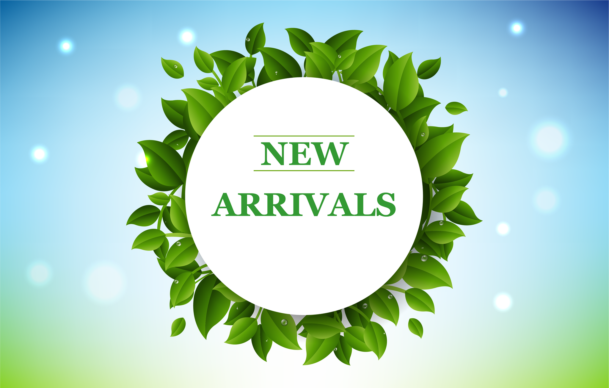 New Arrivals