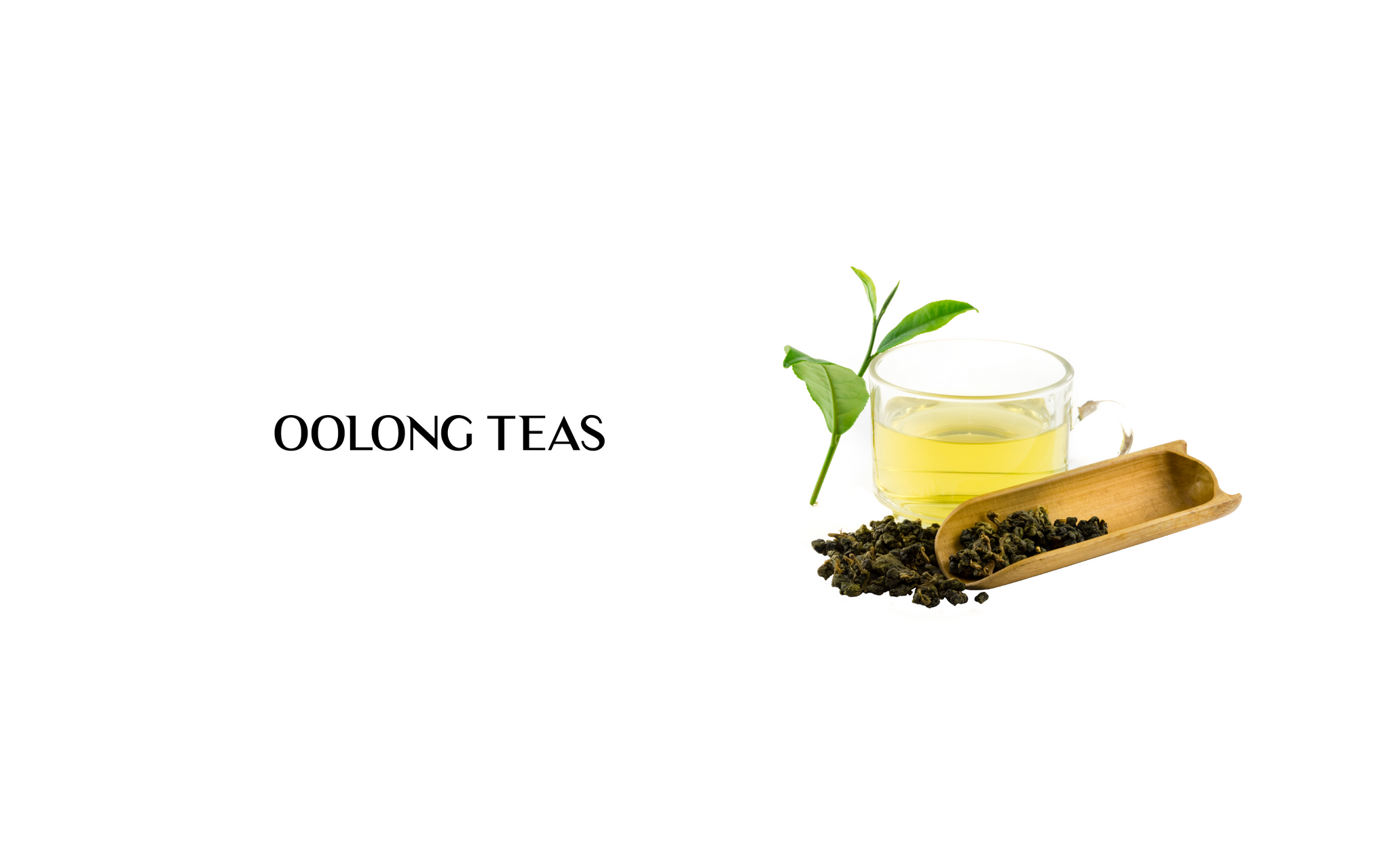 Oolong