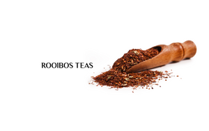 Rooibos