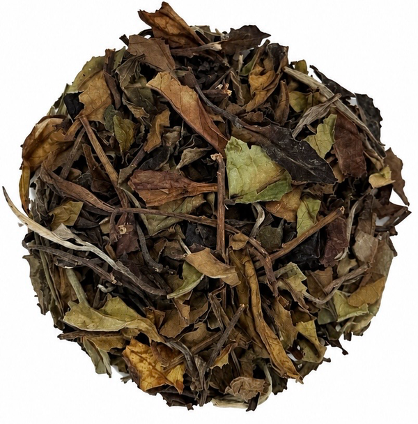 organic white tea loose leaf natural tea mansion teas low caffeine high antioxidant tea
